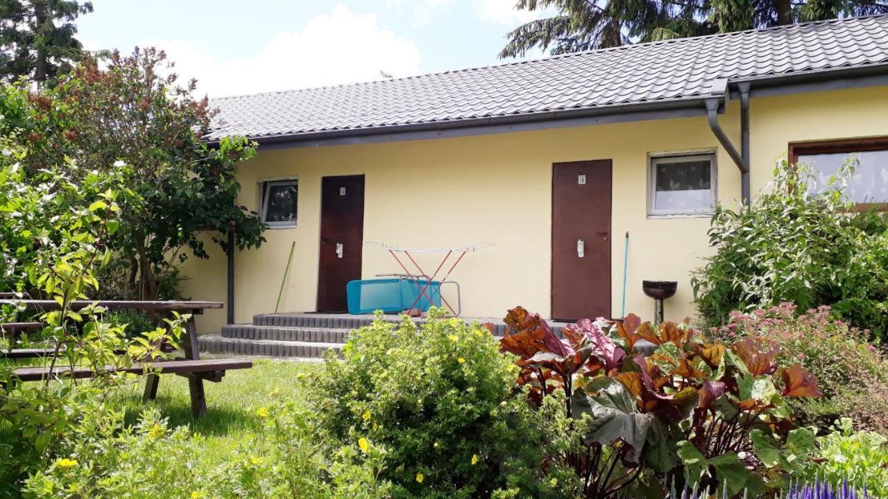 Ow Wilk - Pokoje I Domki Z Aneksami Kuchennymi, Parking, Plac Zabaw Łeba Kültér fotó